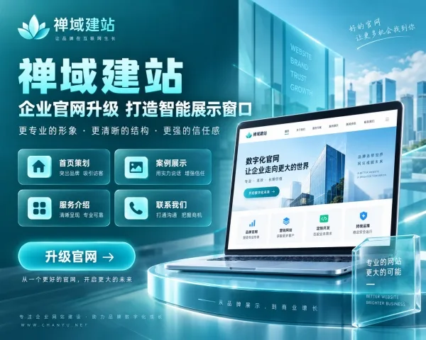 定制版官网